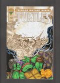 Teenage Mutant Ninja Turtles #13 (1995) Higher Grade Mirage Publishing Comics