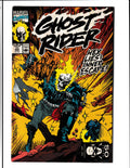 Ghost Rider #11 (1991) Marvel Comics SKU:790