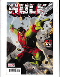 Hulk #6b (2022) Alex Garner Spider-Man Cover Marvel Comics