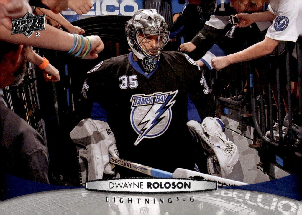 2011-12 Upper Deck #29 Dwayne Roloson Hockey Tampa Bay Lightning
