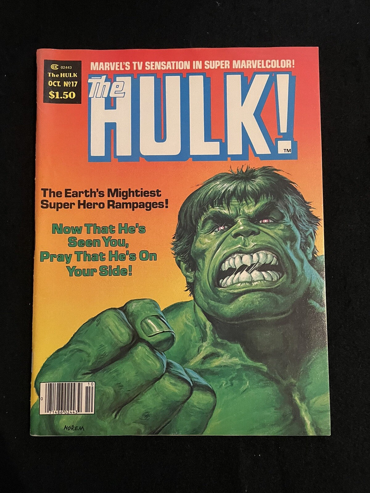 The HULK! 17 1ST Randall Spector (Shadowknight) RARE KEY Curtis Comics Inc 1979