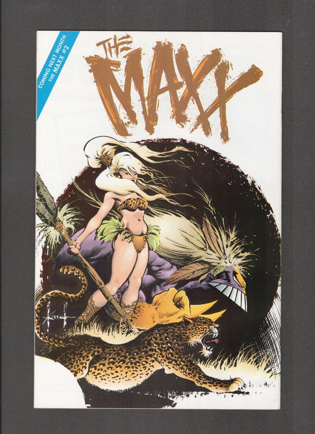 Maxx #1 (1993) Sam Keith Cover Image Comics