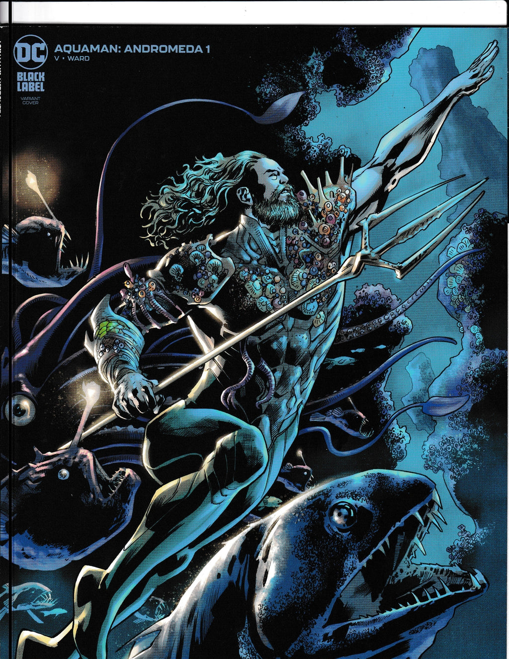 Aquaman: Andromeda #1b (2022) Black Label HIGH GRADE Hitch Variant DC Comics