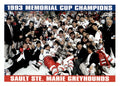 1993-94 Score #486 Memorial Cup Champions Sault Ste. Marie Greyhounds