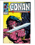 Conan the Barbarian #193 (1987) Marvel Comics SKU:3261