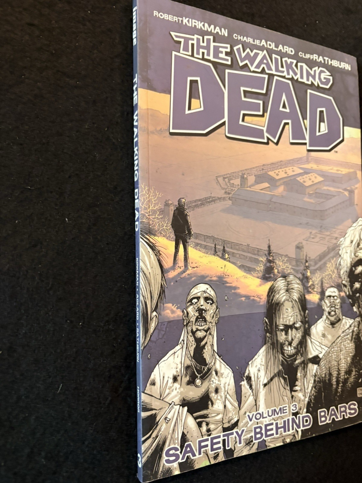 Walking Dead - TPB #3 (2004) - First Print Image Comics