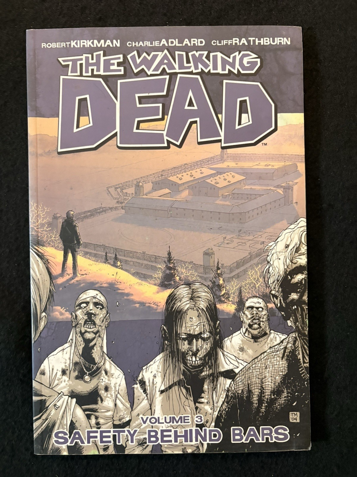 Walking Dead - TPB #2 (2004) - First Print Image Comics