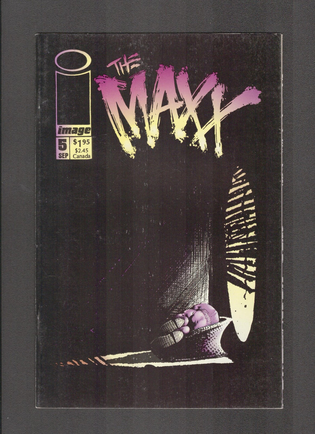 Maxx #5 (1993) Sam Keith Cover Image Comics
