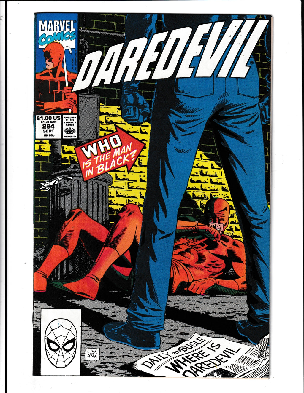 Daredevil #284 (1990) Man Without Fear Marvel Comics