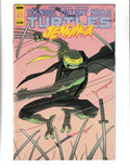 Teenage Mutant Ninja Turtles: Jennika #1 (2020) IDW Comics