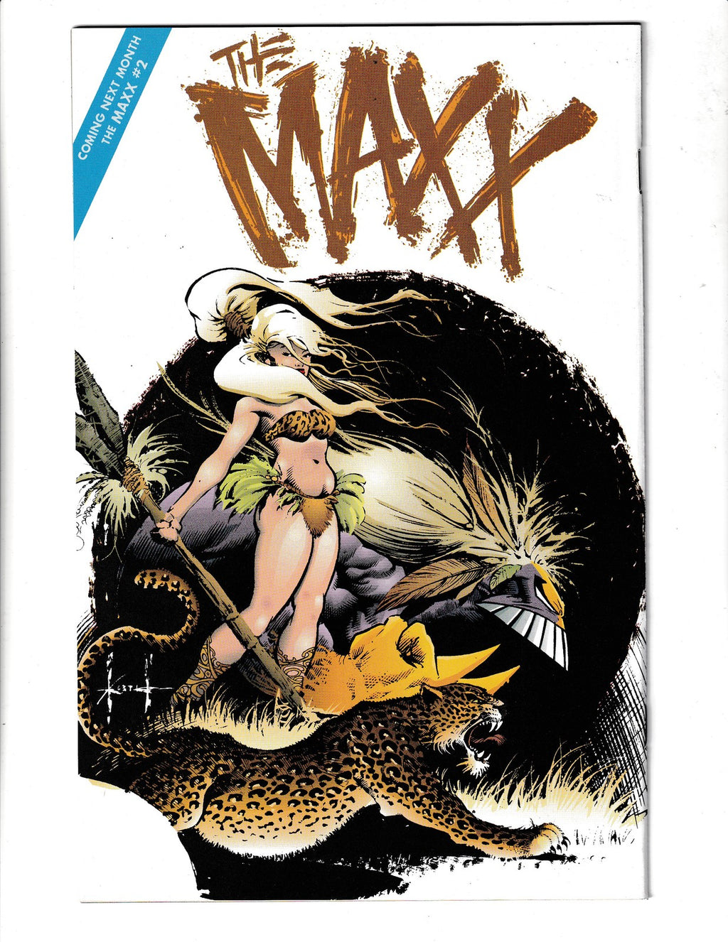 Maxx #1 (1993) Image Comics SKU:3056