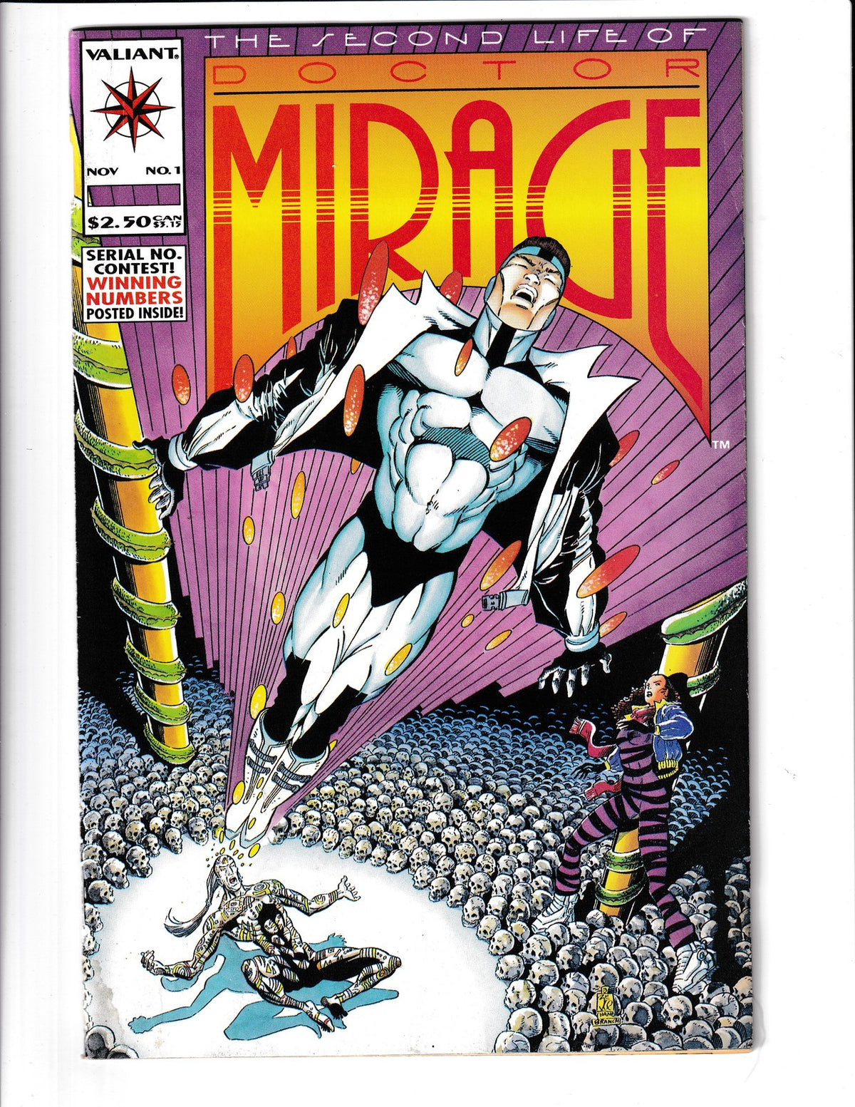 Second Life of Doctor Mirage #1 (1993) Poster Valiant Comics