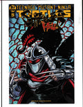 Teenage Mutant Ninja Turtles: Shredder In Hell #5b (2019) IDW Comics