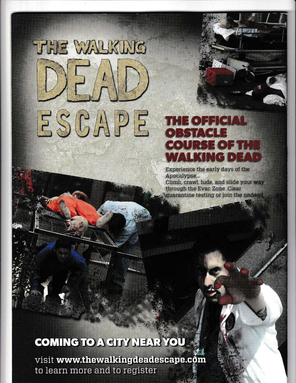 Walking Dead: The Official Magazine #5 (2013) Titan Comics