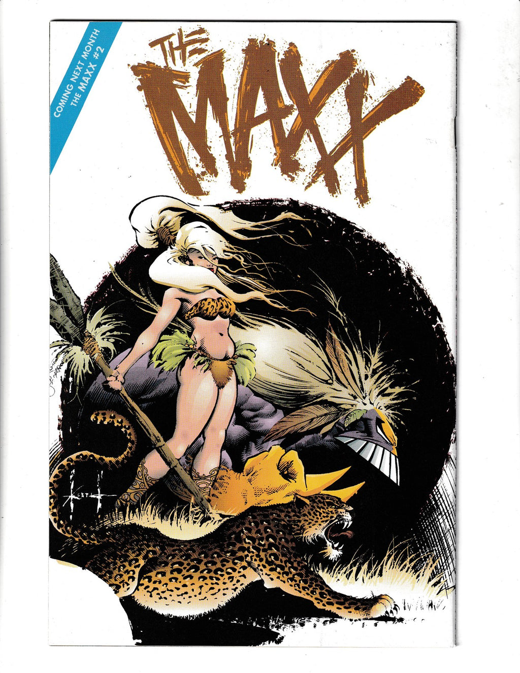 Maxx #1 (1993) Image Comics SKU:3059