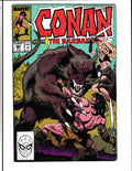 Conan the Barbarian #224 (1989) Marvel Comics SKU:781