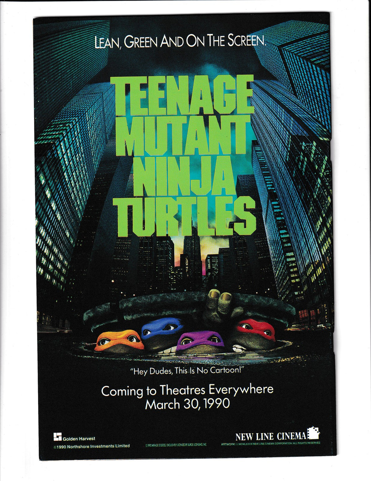 Teenage Mutant Ninja Turtles #28 (1989) Higher Grade Mirage Comics