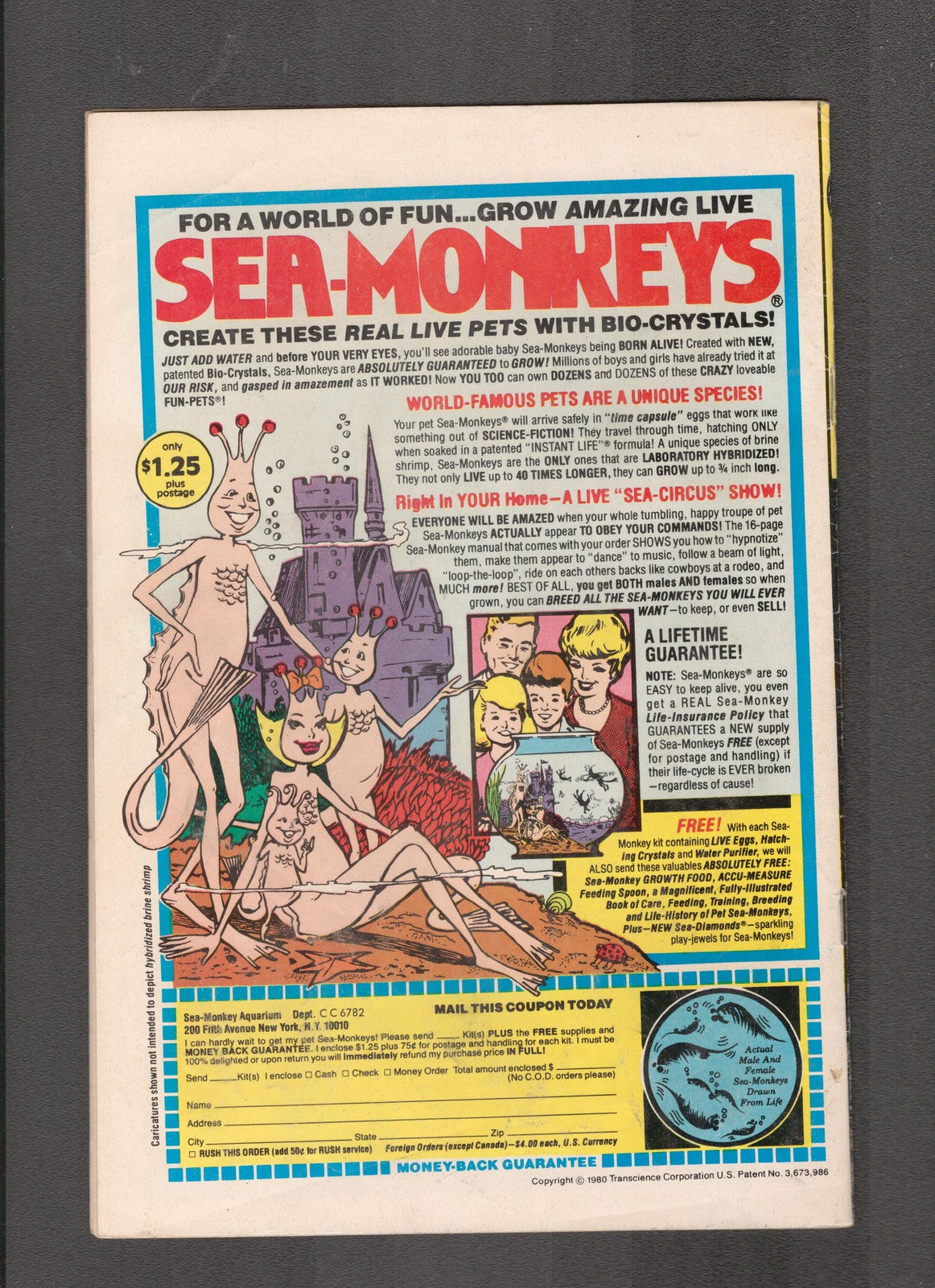 Fightin' Army #158 (1981) Charlton Comics