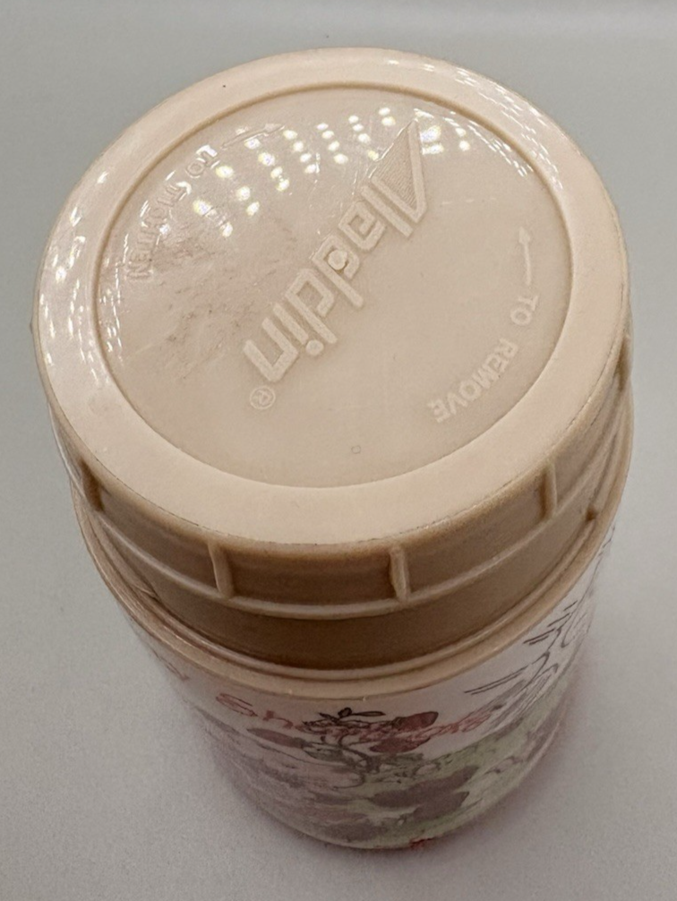 Strawberry Shortcake Aladdin Thermos 1980 - Missing Cup