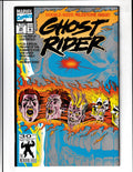 Ghost Rider #25 (1992) Higher Grade Marvel Comics SKU:1083