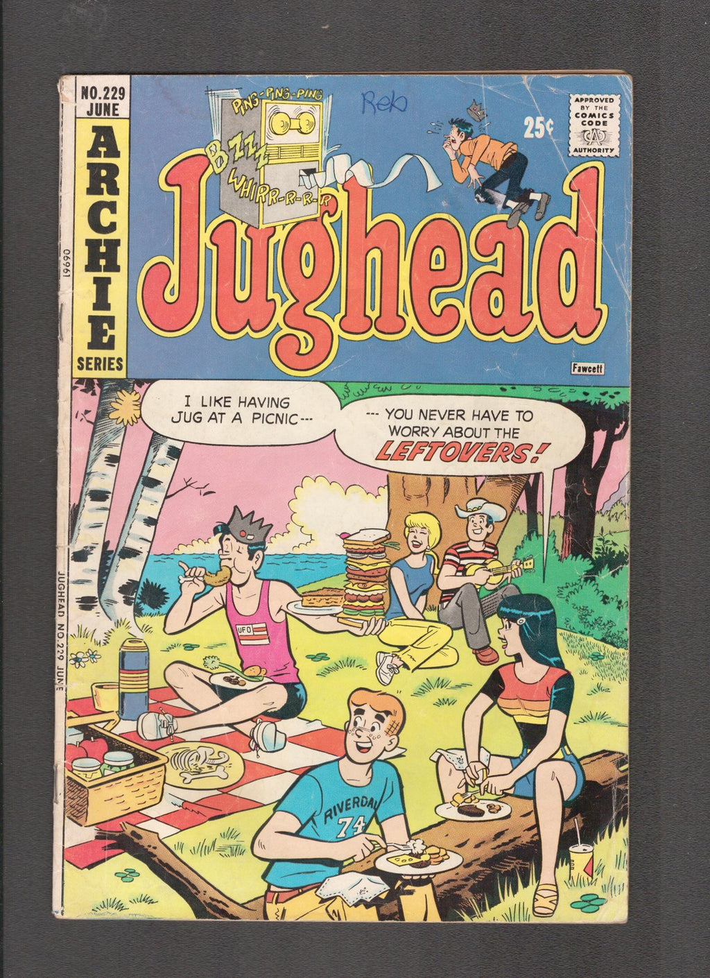 Jughead #229 (1974) Picnic Archie Comics