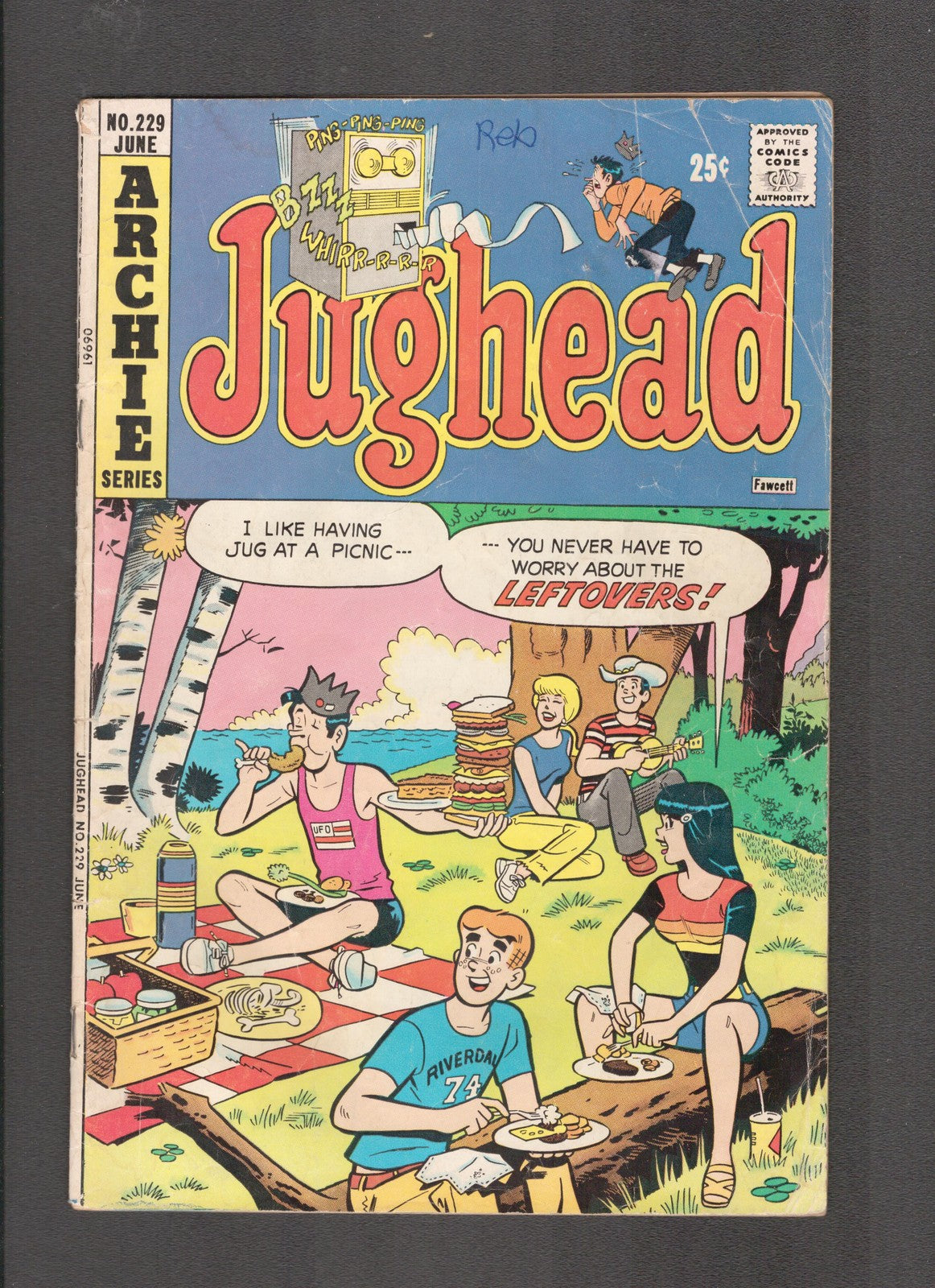 Jughead #229 (1974) Picnic Archie Comics