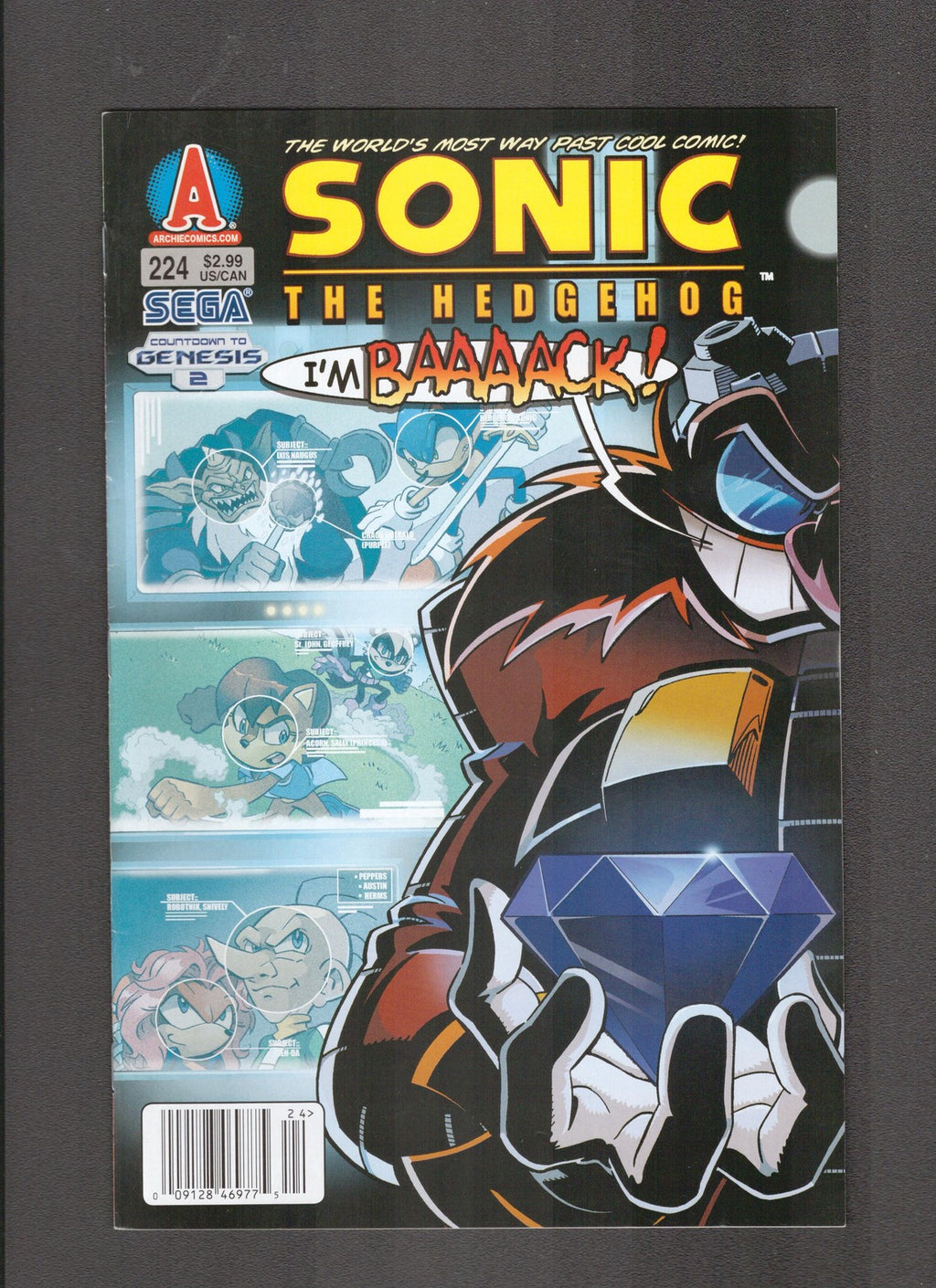 Sonic the Hedgehog #224 (2011) LOW PRINT RUN Archie Comics