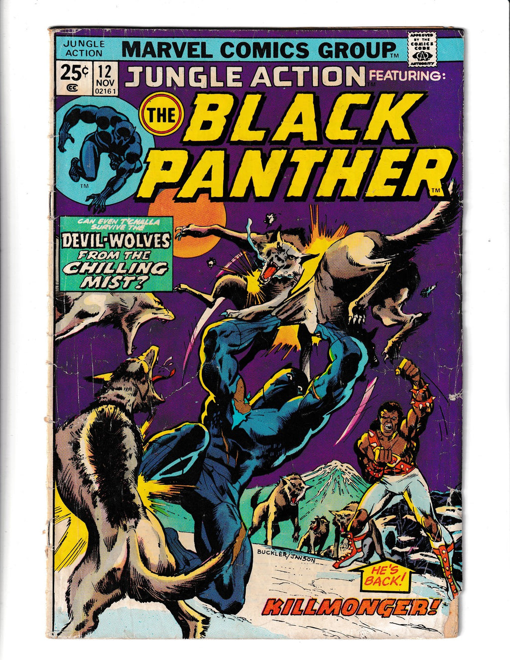 Jungle Action #12 (1974) Black Panther - 1st Sombre - MVS A-9 Marvel Comics