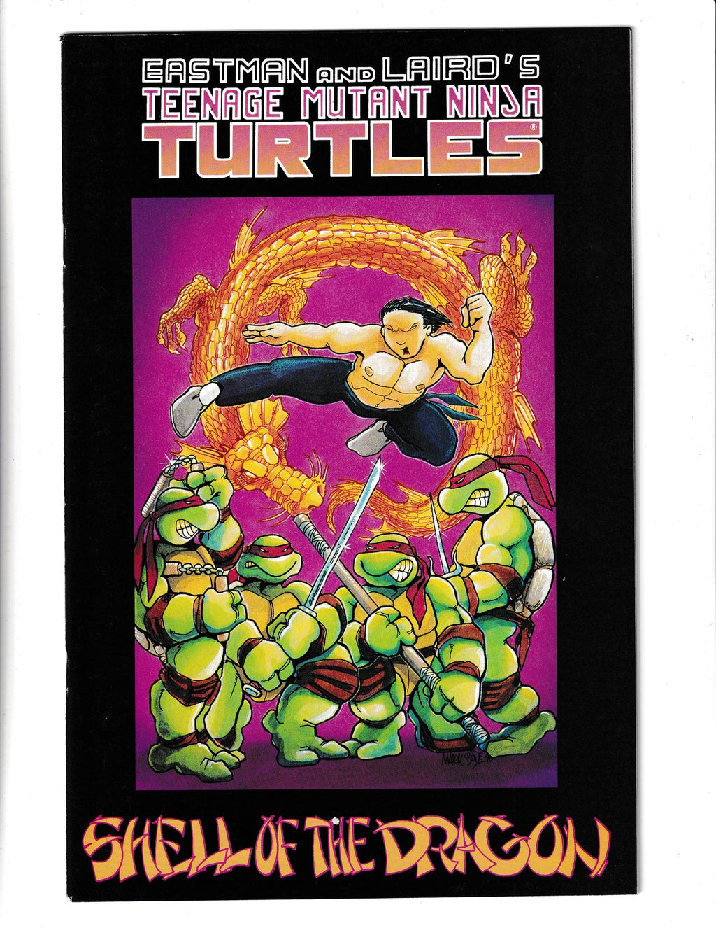 Teenage Mutant Ninja Turtles #18 (1990) Colour Special Mirage Comics