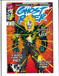 Ghost Rider #37 (1993) Higher Grade - Forward to the Shadows Marvel Comics