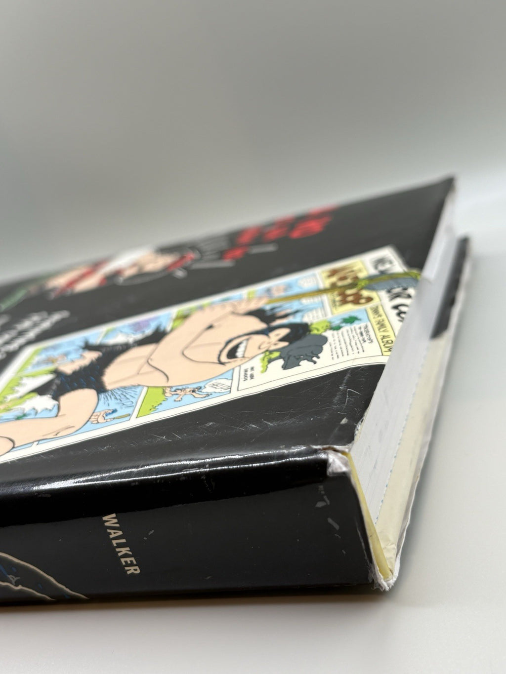 The Comics Before 1945 Hardcover by Brian Walker (2004) Abrams Publishing