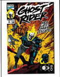 Ghost Rider #11 (1991) Higher Grade Marvel Comics
