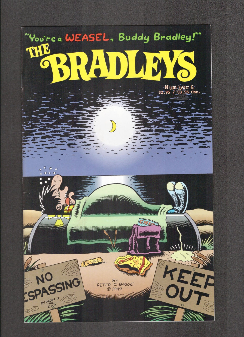 Bradleys #6 (2000) Fantagraphics Comics
