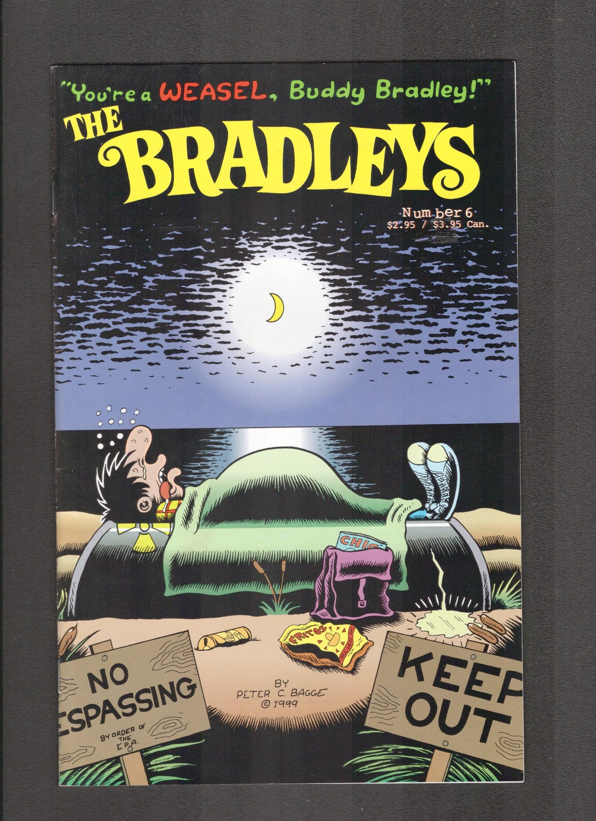 Bradleys #6 (2000) Fantagraphics Comics