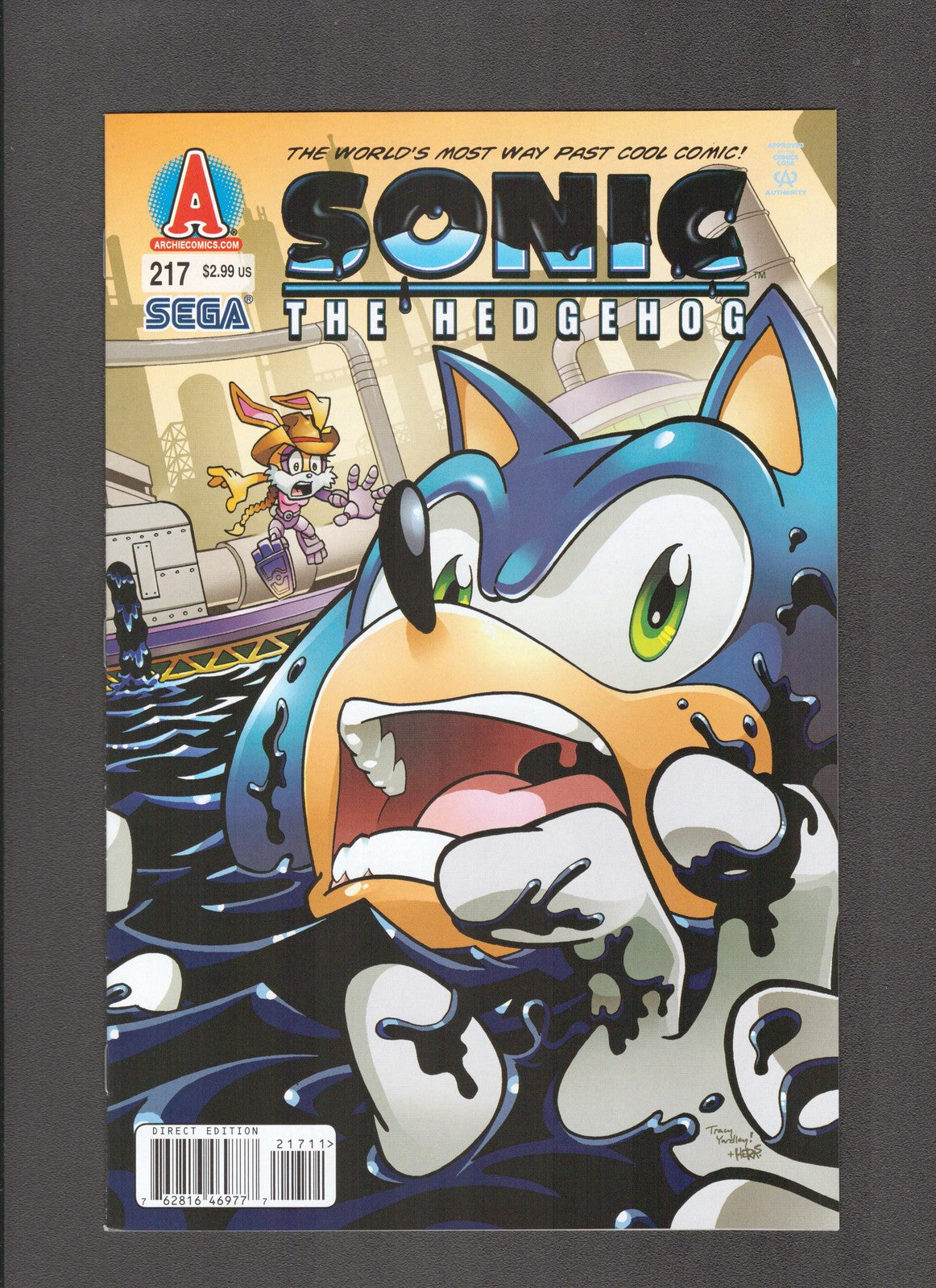 Sonic the Hedgehog #217 (2010) Yardley, Flynn - 1st Appearances Archie Comics