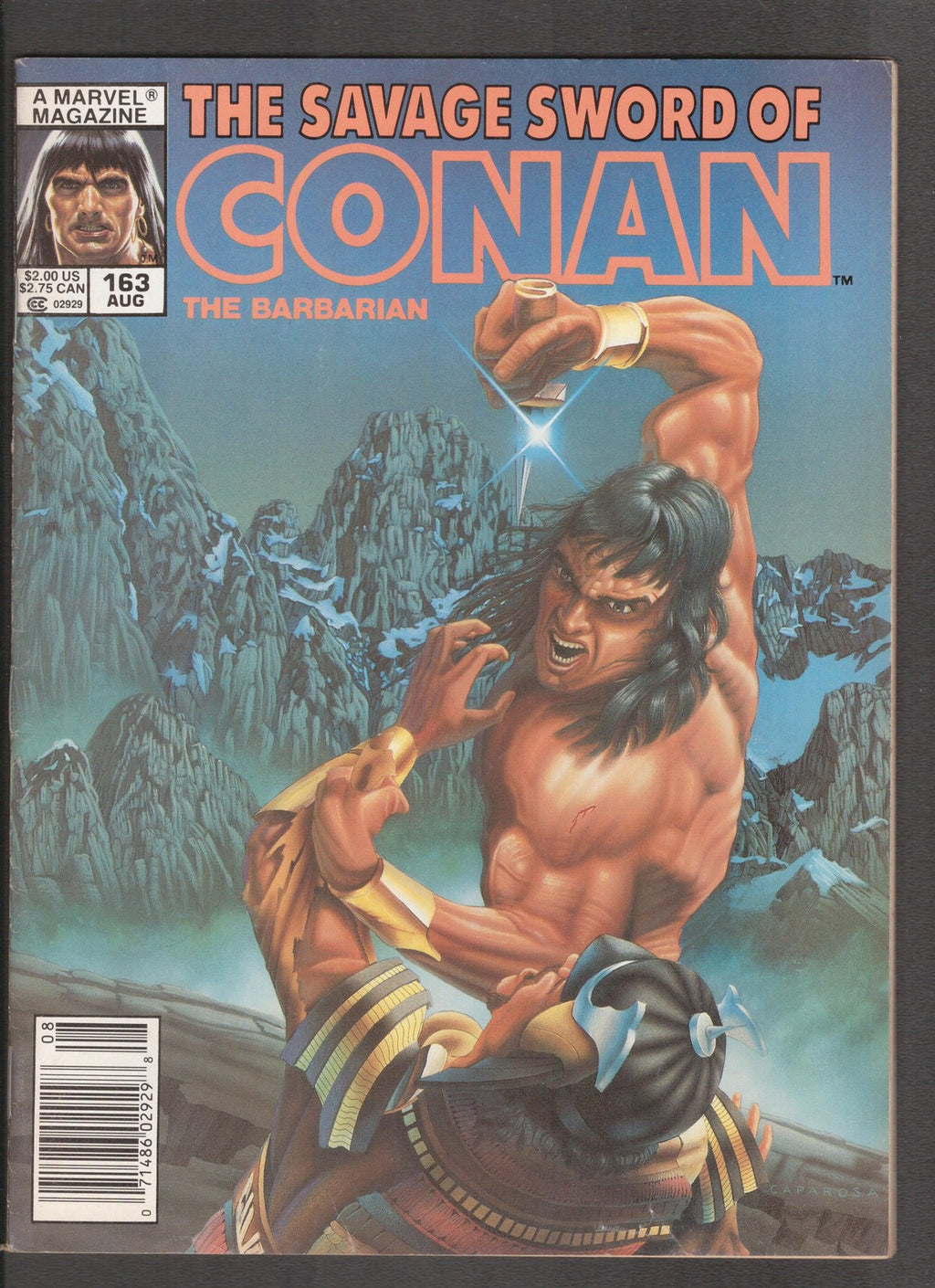 Savage Sword of Conan #163 (1989) Mike caparosa Curtis Comics