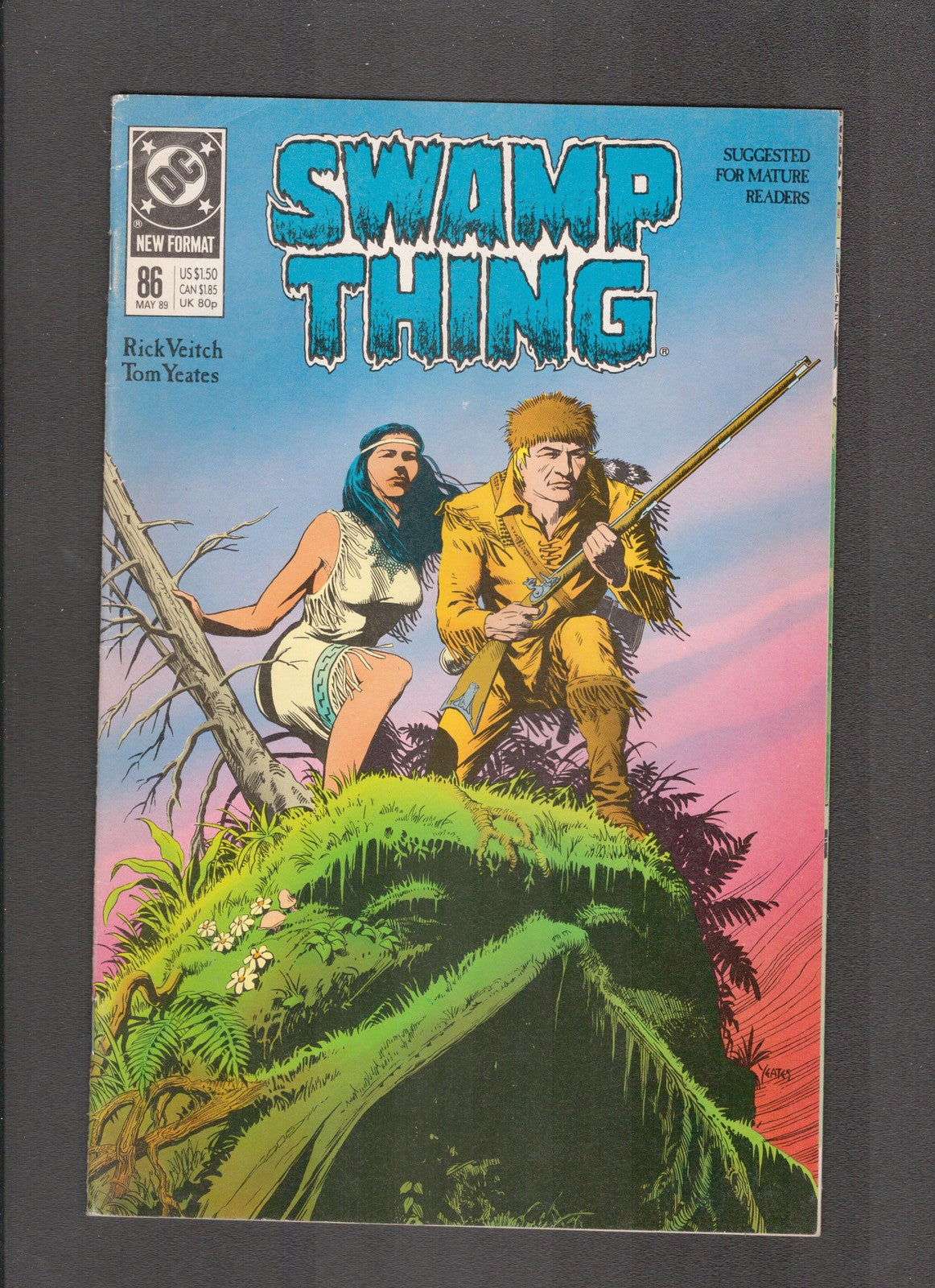 Swamp Thing #86 (1989) Tom Yeates DC Comics