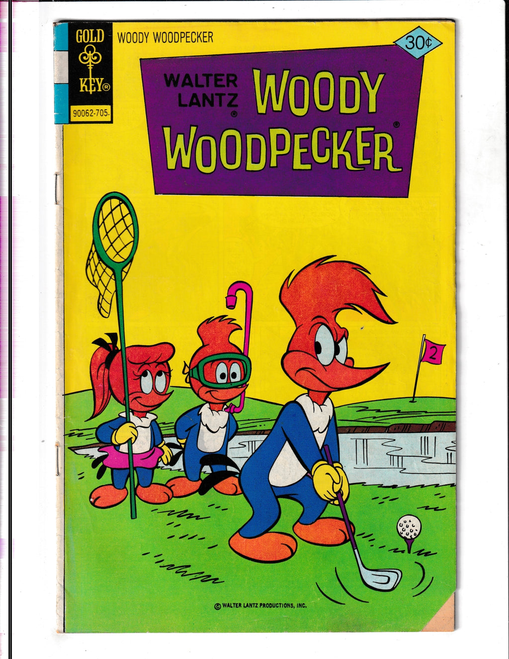 Woody Woodpecker #157 (1977) Gold Key Comics