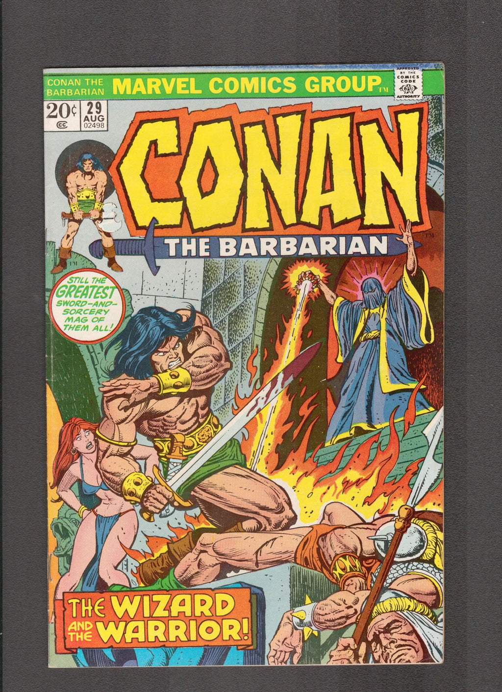 Conan the Barbarian #29 (1973) Kane/Chan/Buscema/Thomas Marvel Comics