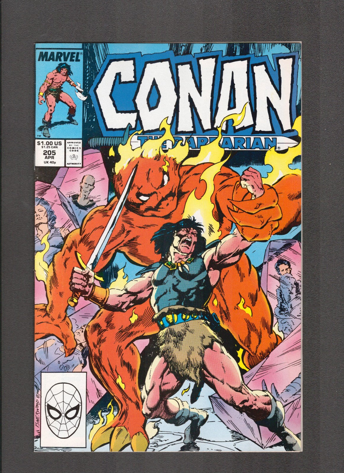 Conan the Barbarian #205 (1988) Isherwood, Semeiks Marvel Comics