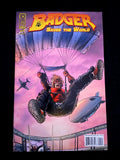 Badger Saves the World #4 2008 - HIGHER GRADE