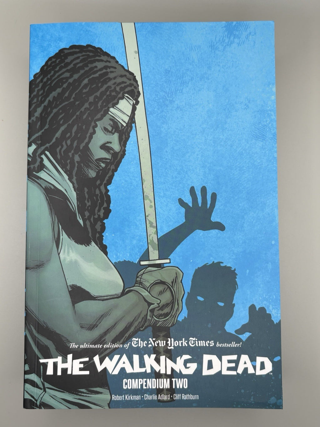 The Walking Dead 15th Anniversary Compendium 1-3 Box Set Complete Image Comics