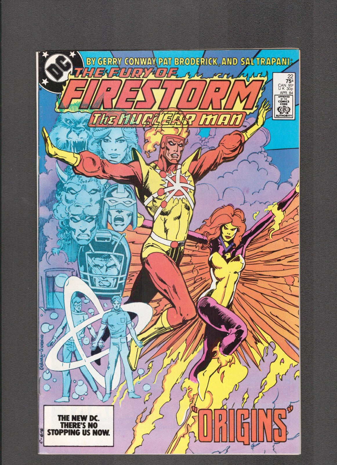 Fury of Firestorm #22 (1984) Firestrom Origin DC Comics