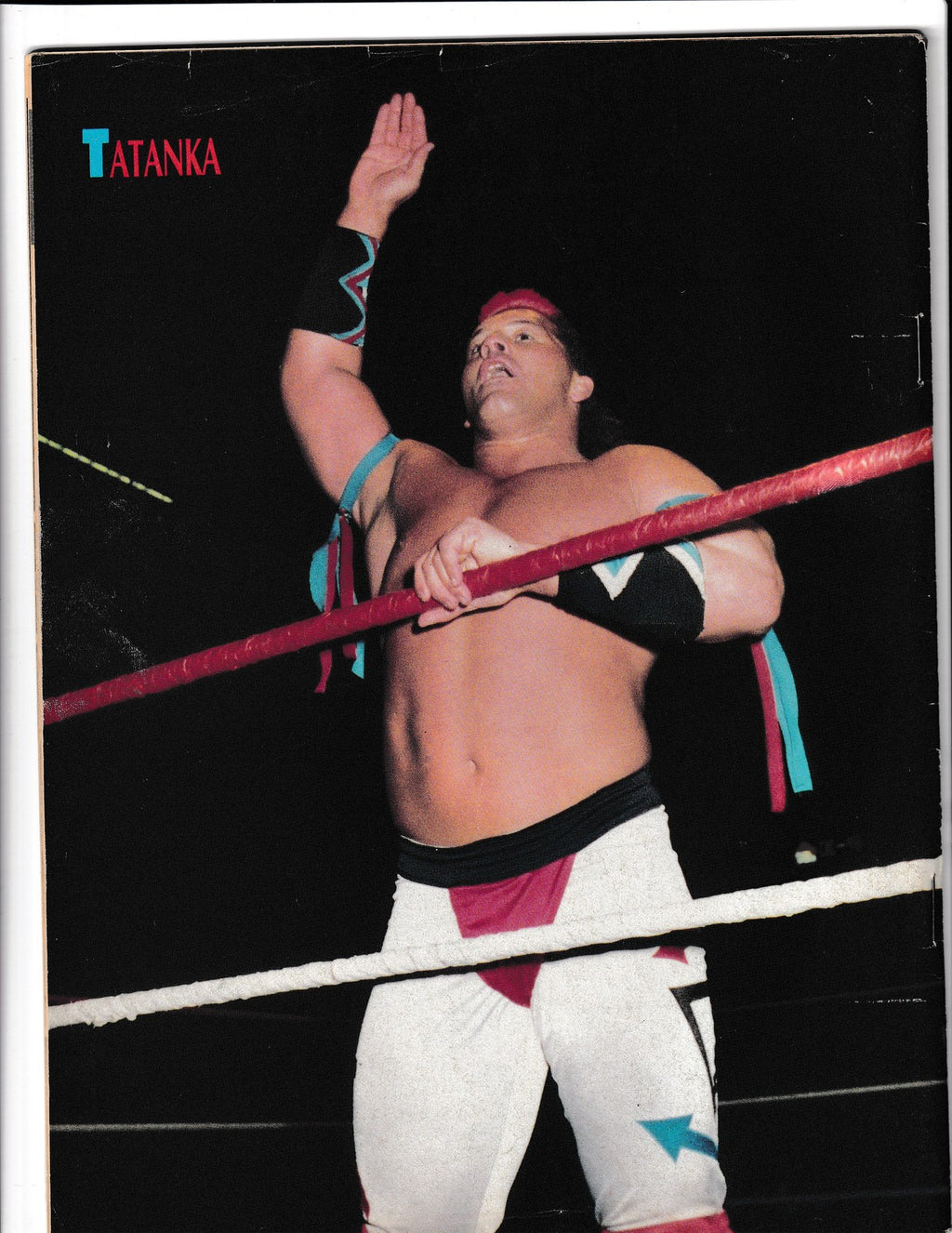 Wrestle America #January (1993) Ultimate Warrior/Randy Savage  Comics