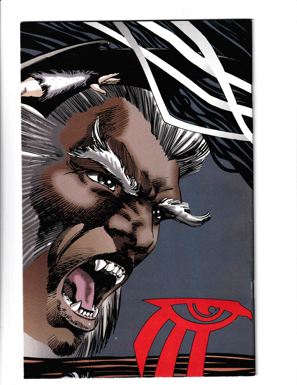 Shaman's Tears #2 (1993) Image Comics