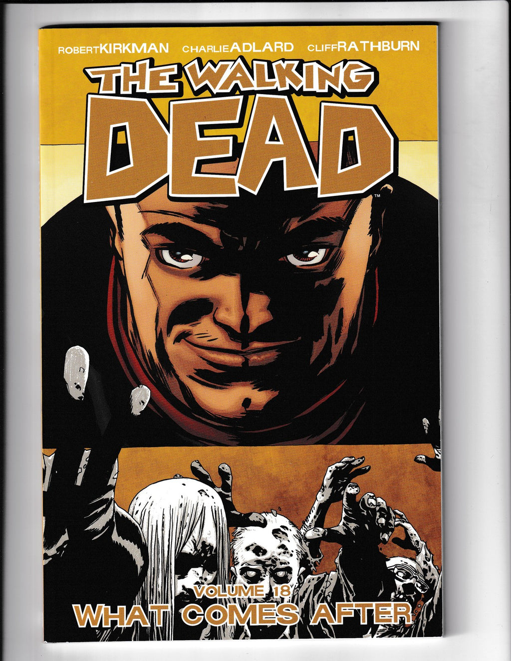 Walking Dead - TPB #18 (2013) Higher Grade Image Comics