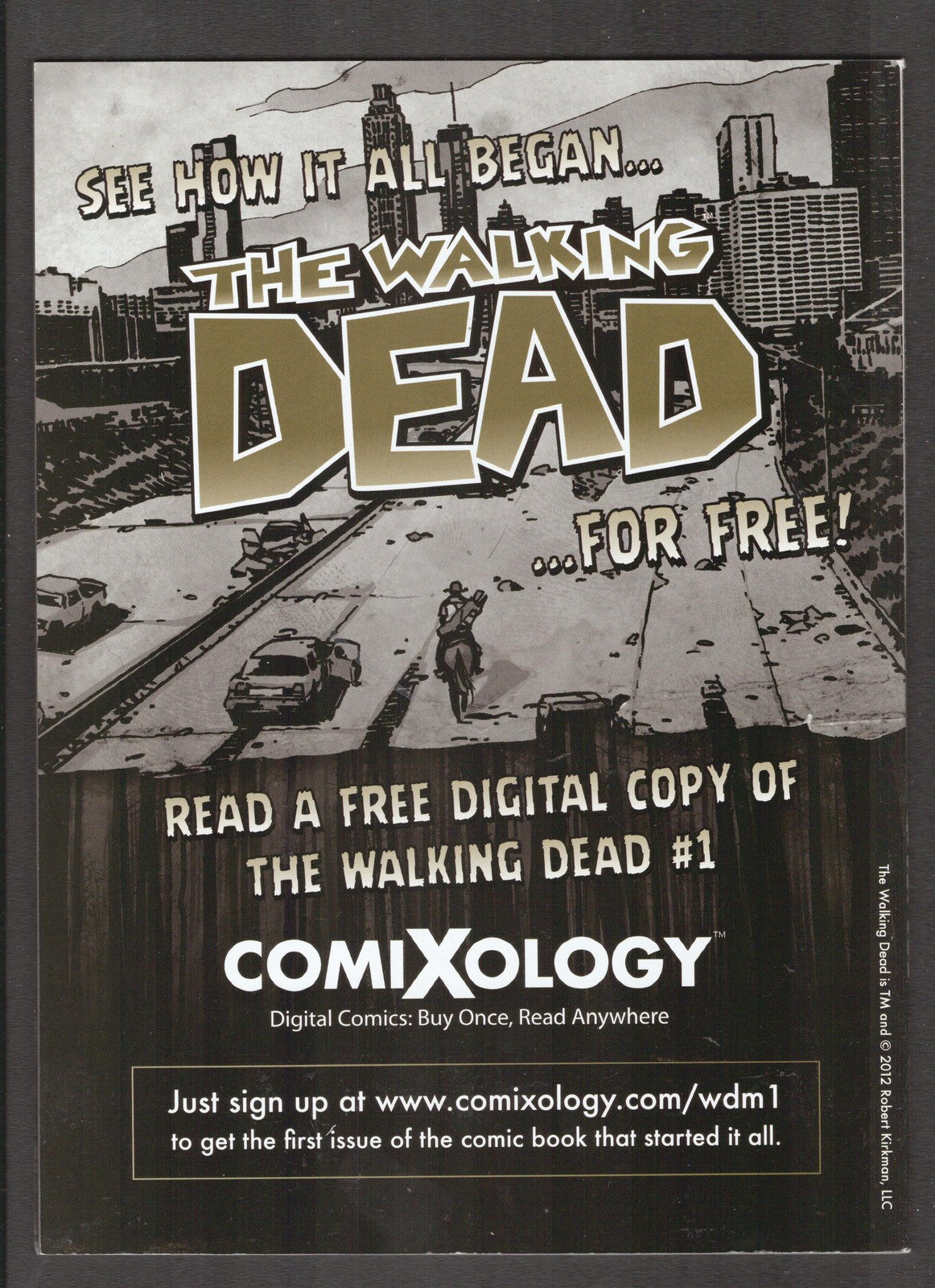 Walking Dead: The Official Magazine #1 (2012) Michonne Cover Titan Comics