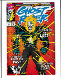 Ghost Rider #37 (1993) Higher Grade Marvel Comics