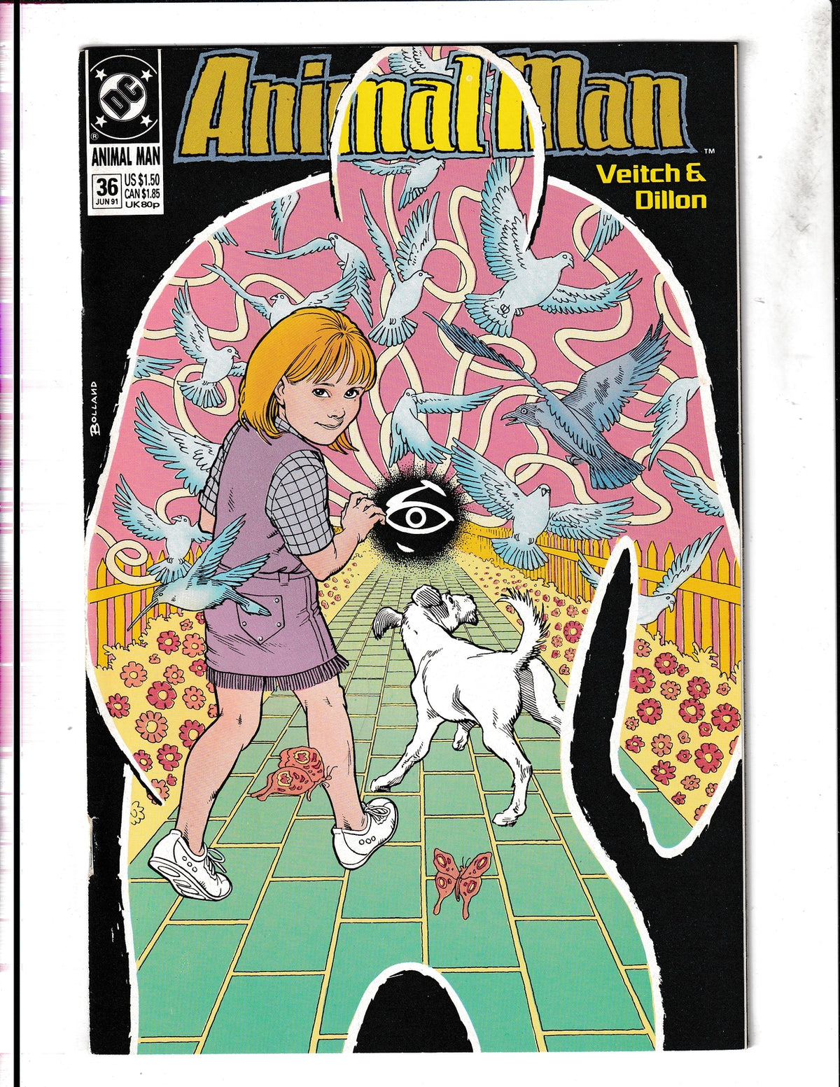 Animal Man #36 (1991) DC Comics