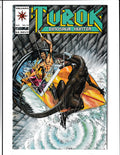 Turok: Dinosaur Hunter #12 (1994) Higher Grade Valiant Comics